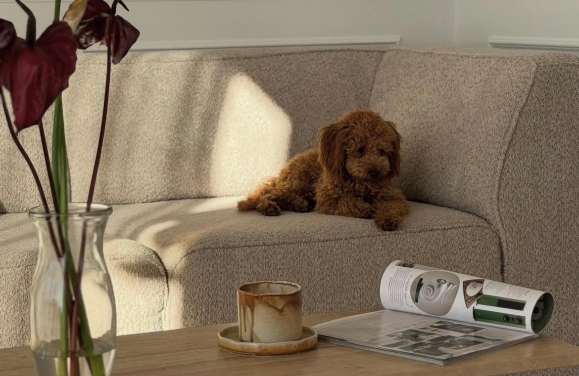 Designer Ecksofa Hugg II modular in Bouclé