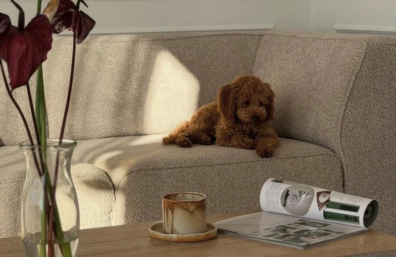 Designer Sofa Hugg Pouf modular in Bouclé